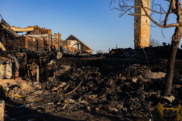 Reliable Content Restoration contractor in Oldsmar, FL by Fire Damage Laser Cleaning